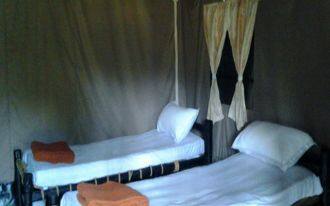 Nammane Homestay, Chikmaglur 3